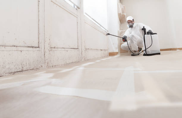 24/7 Emergency Basement Mold Remediation experts in Warrenton, OR