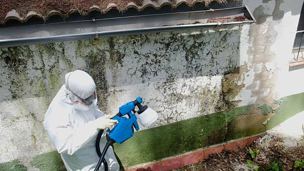Trusted Mold Inspection service in Warrenton, OR - Cheap Mold Removal